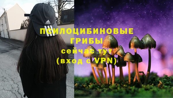 ПСИЛОЦИБИНОВЫЕ ГРИБЫ Алзамай