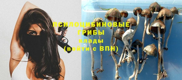 ALPHA PVP Алексин