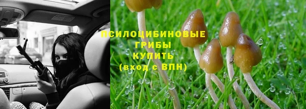 ПСИЛОЦИБИНОВЫЕ ГРИБЫ Алзамай