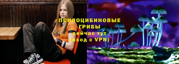 PSILOCYBIN Алексеевка