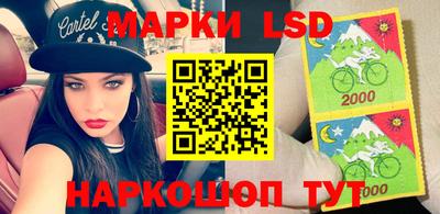 стафф Донецк