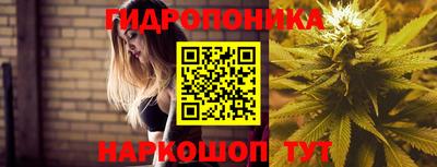 дмт Донской