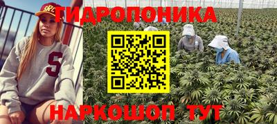 дмт Донской