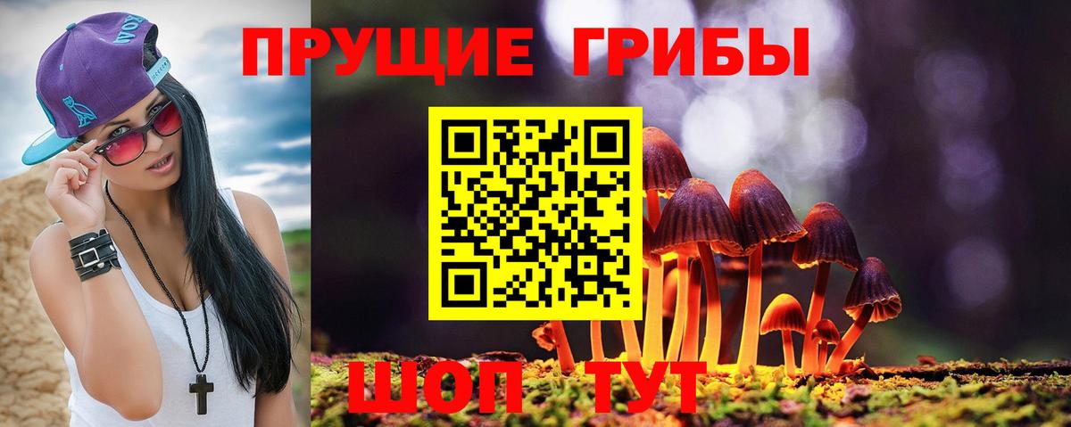 Галлюциногенные грибы Psilocybine cubensis  Вход с VPN  Карачаевск 